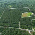 Property photo for land for sale in Halifax County Virginia