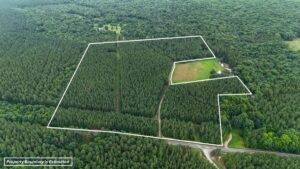 Property photo for land for sale in Halifax County Virginia