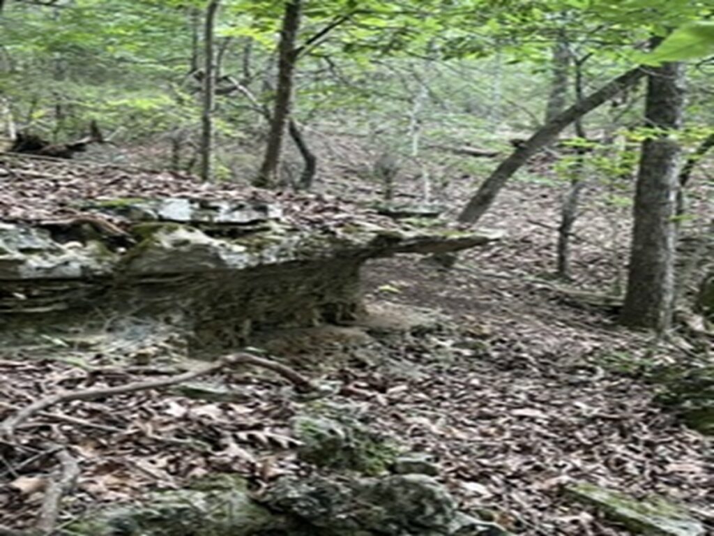 7ef99845-c03f-48ae-9209-7729f15618c7.jpg
