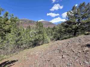 Property photo for land for sale in Ouray County Colorado