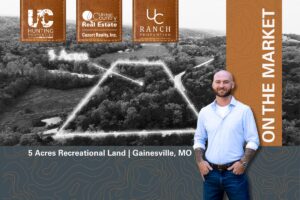 Property photo for land for sale in Ozark County Missouri