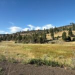Property photo for land for sale in Modoc County California