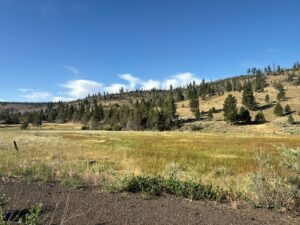 Property photo for land for sale in Modoc County California
