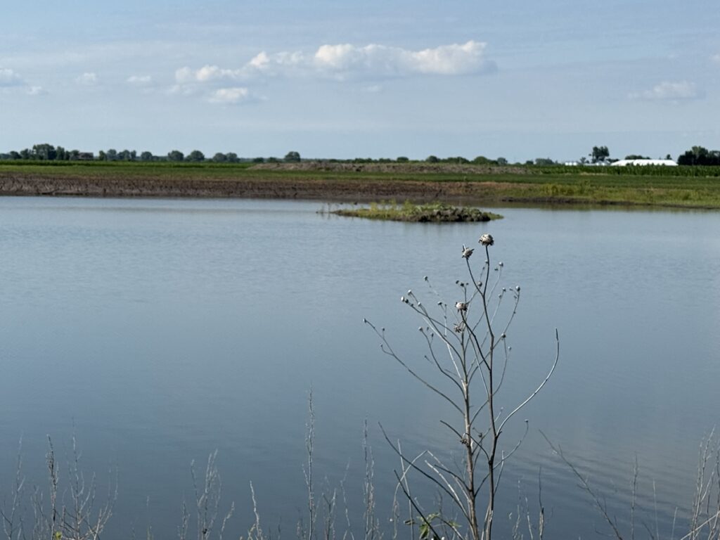 Property photo for land for sale in Saunders County Nebraska