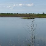 Property photo for land for sale in Saunders County Nebraska