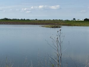 Property photo for land for sale in Saunders County Nebraska