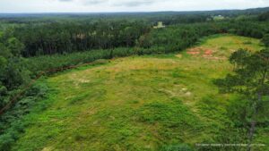 Property photo for land for sale in Coffee County Alabama