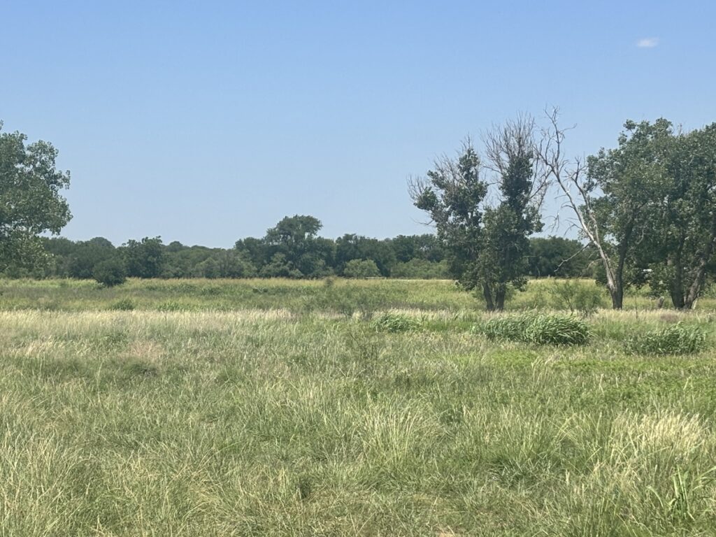 Property photo for land for sale in Jackson County Oklahoma