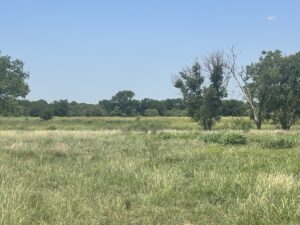 Property photo for land for sale in Jackson County Oklahoma