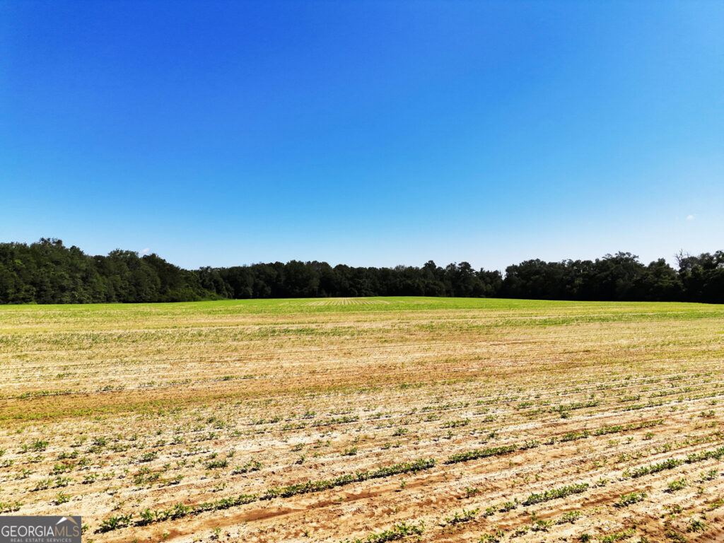 8997d647-8ee9-495d-85b7-3020f17f04c6.jpg