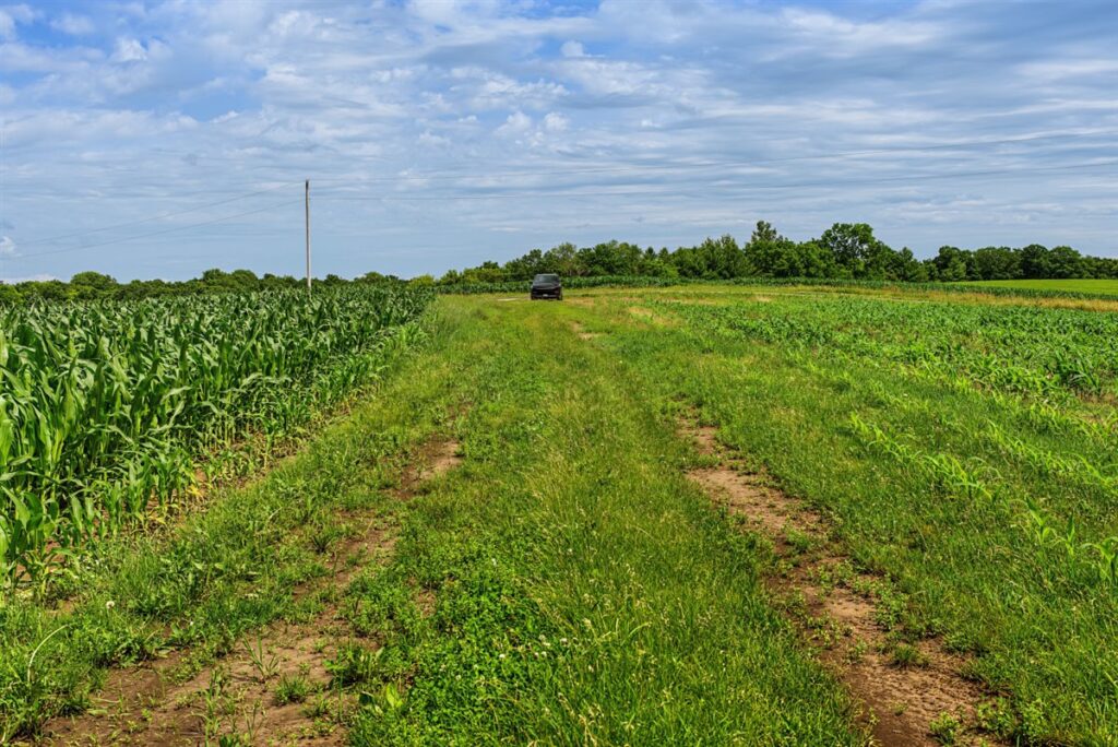 8ac4c720-3ed7-4a09-8631-466e72e4d8c5.jpg