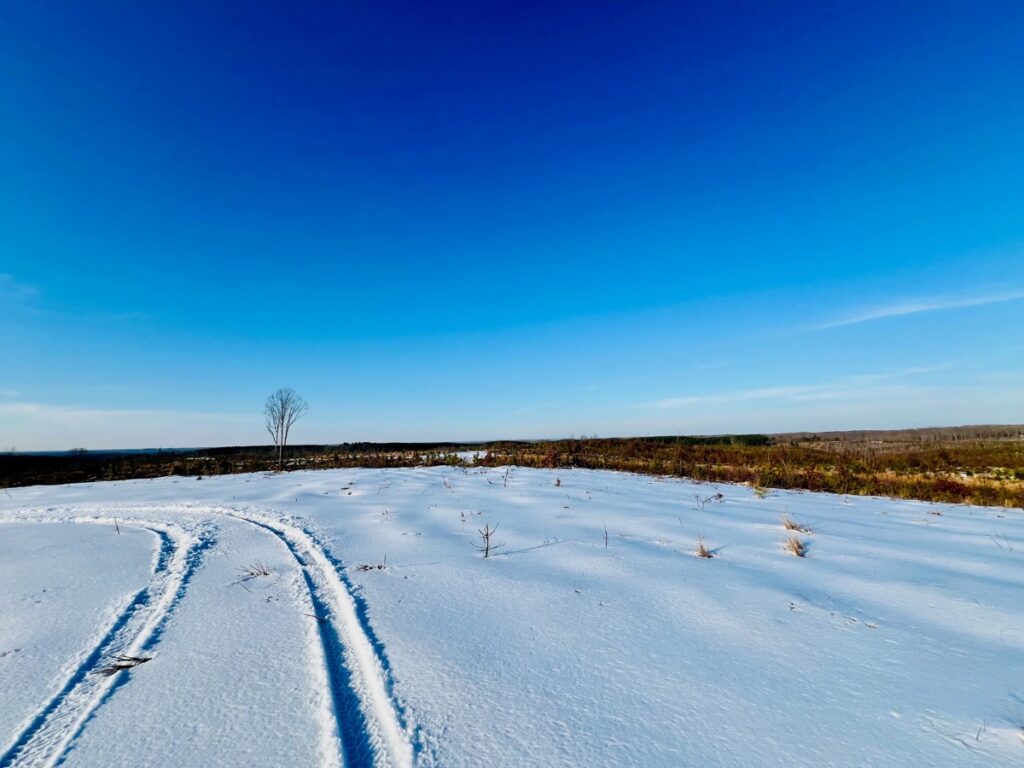 8afadc80-4f03-41d9-ae63-8bb54610a7c0.jpg