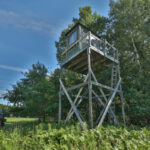 Property photo for land for sale in Wood County Wisconsin
