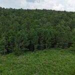 Property photo for land for sale in Latimer County Oklahoma