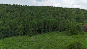 Property photo for land for sale in Latimer County Oklahoma