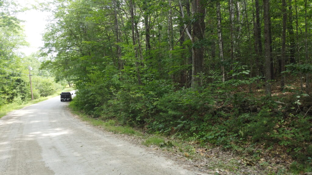 8d07d22c-54d0-4329-8966-5dc5137690ac.jpg