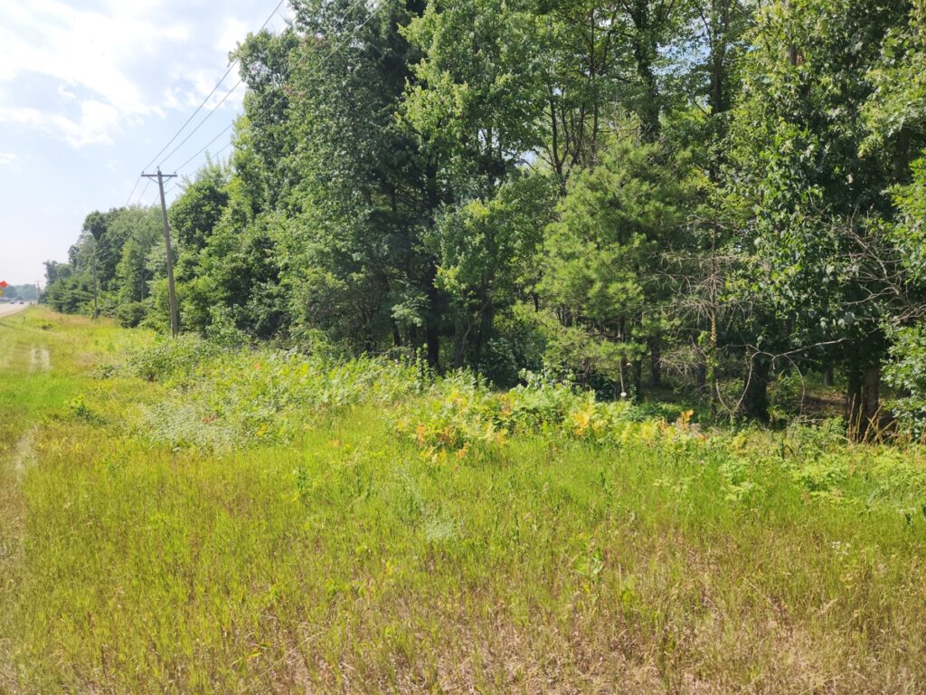 Property photo for land for sale in Waushara County Wisconsin