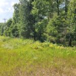 Property photo for land for sale in Waushara County Wisconsin