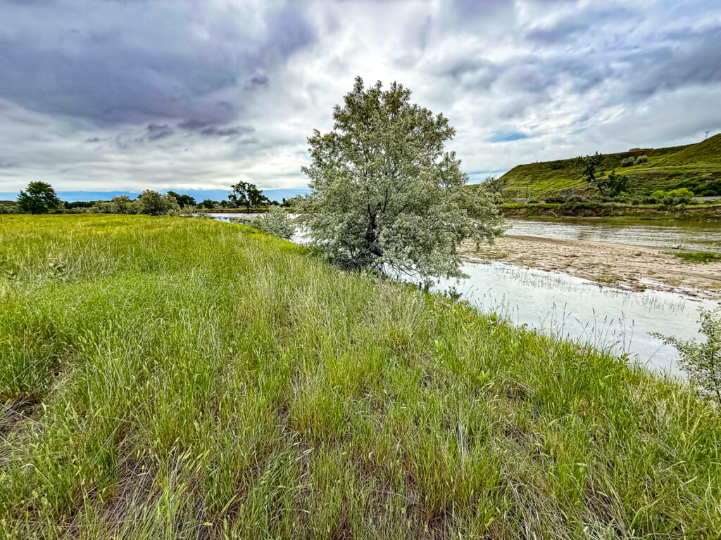 Property photo for land for sale in Hill County Montana