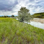 Property photo for land for sale in Hill County Montana