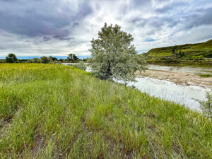 Property photo for land for sale in Hill County Montana
