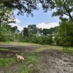 Property photo for land for sale in Warrick County Indiana