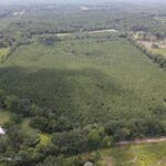 Property photo for land for sale in Smith County Mississippi