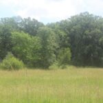 Property photo for land for sale in Mille Lacs County Minnesota