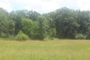 Property photo for land for sale in Mille Lacs County Minnesota