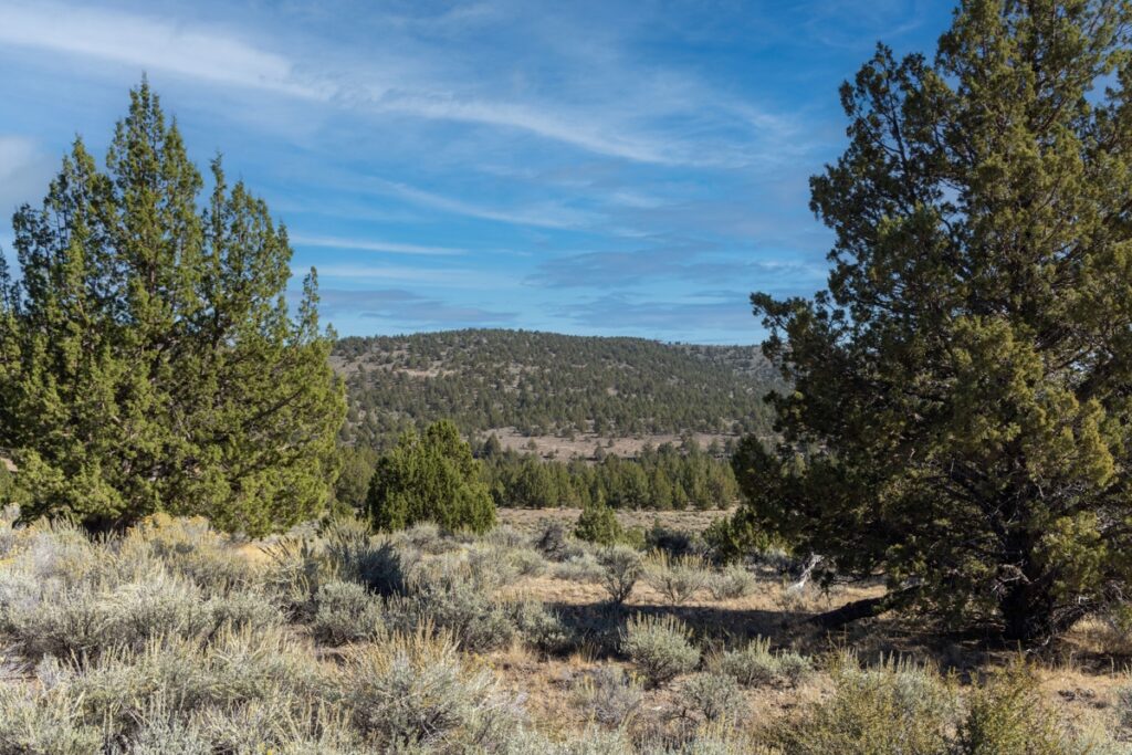 971e72a5-edd9-4963-ac5a-812617f087c2.jpg