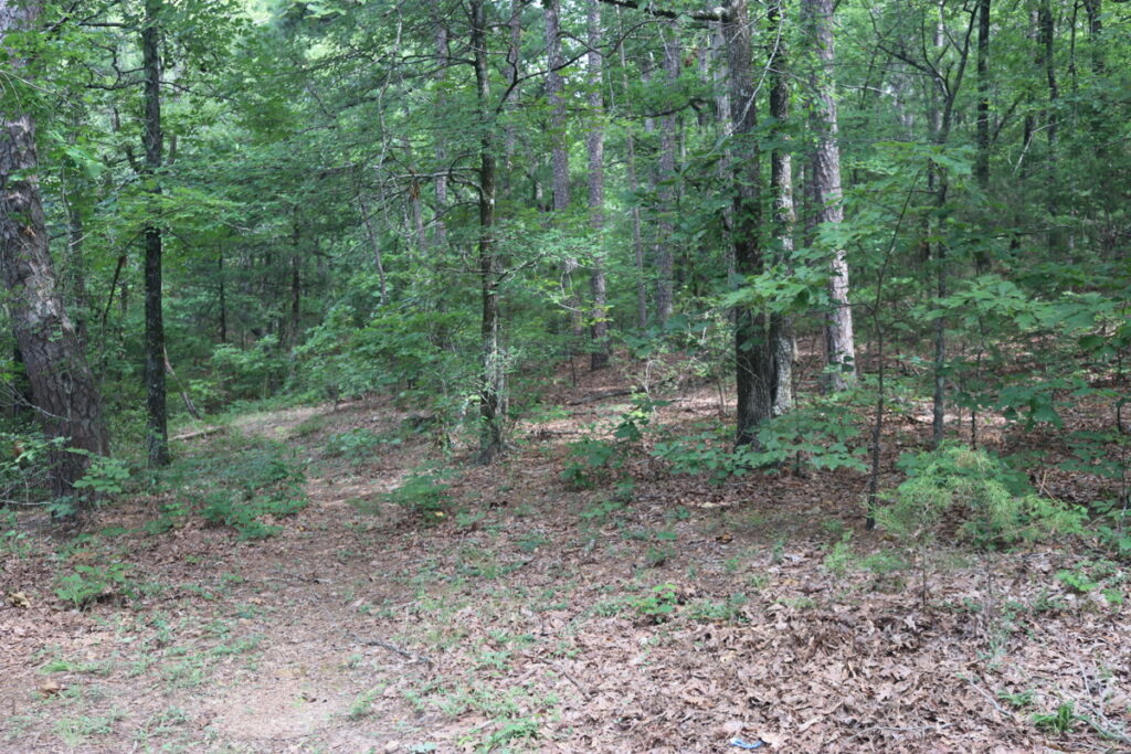Property photo for land for sale in Van Buren County Arkansas