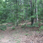 Property photo for land for sale in Van Buren County Arkansas