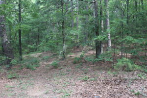 Property photo for land for sale in Van Buren County Arkansas