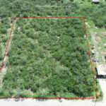 Property photo for land for sale in Bee County Texas