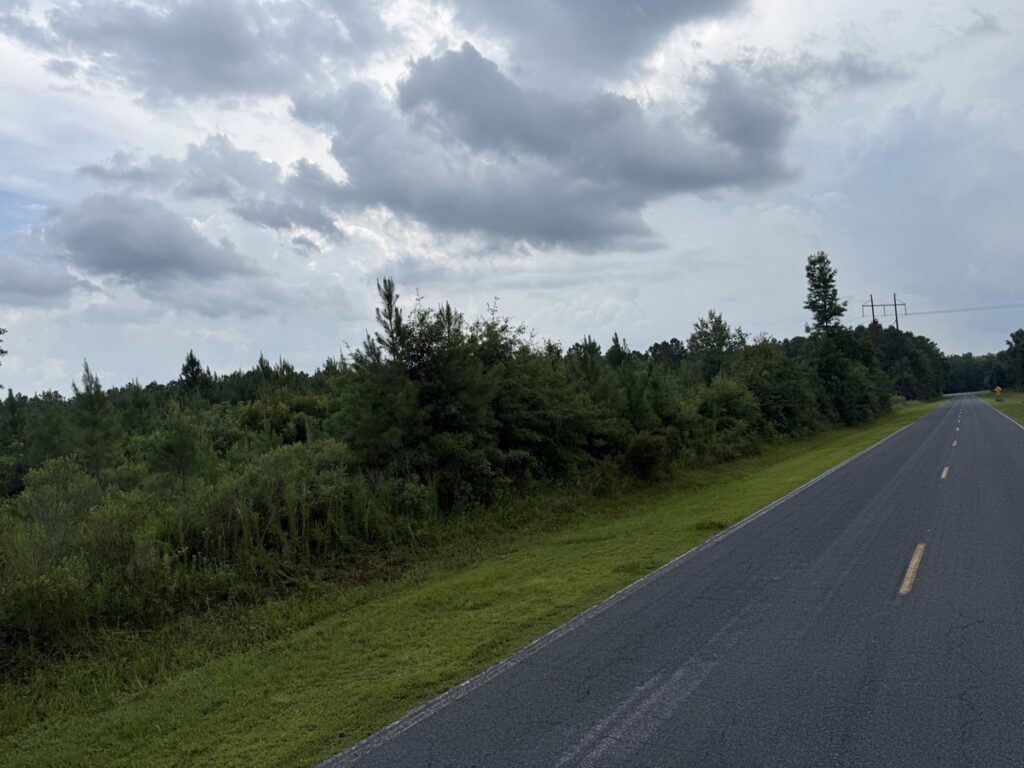 9b7a4cbe-c474-415d-a9f6-41f9c9539f84.jpg