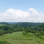 Property photo for land for sale in Vernon County Wisconsin