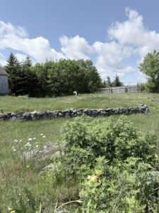 Property photo for land for sale in Washington County Maine