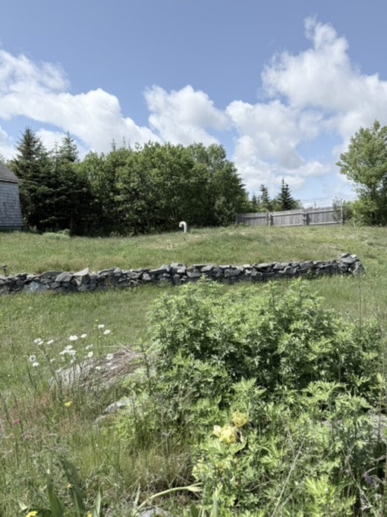 Property photo for land for sale in Washington County Maine