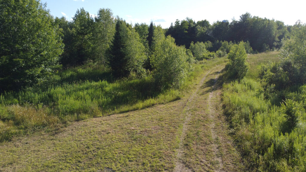 Property photo for land for sale in Aroostook County Maine