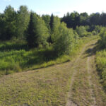 Property photo for land for sale in Aroostook County Maine