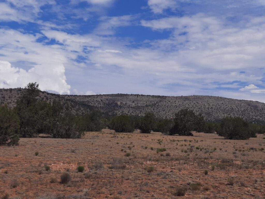 9d33329e-1eb1-4777-af29-15fa75ea85b5.jpg