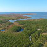 Property photo for land for sale in Hyde County North Carolina
