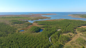 Property photo for land for sale in Hyde County North Carolina