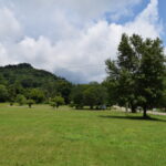 Property photo for land for sale in Hawkins County Tennessee