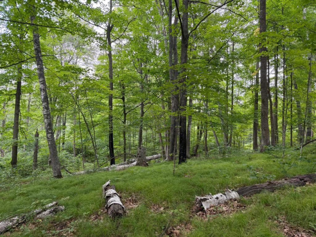 a0d42d1b-313d-443d-99d0-86b80668e44e.jpg