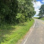 Property photo for land for sale in  County Virginia