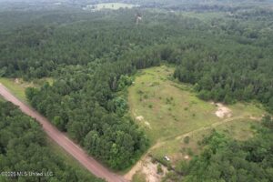 Property photo for land for sale in Wilkinson County Mississippi