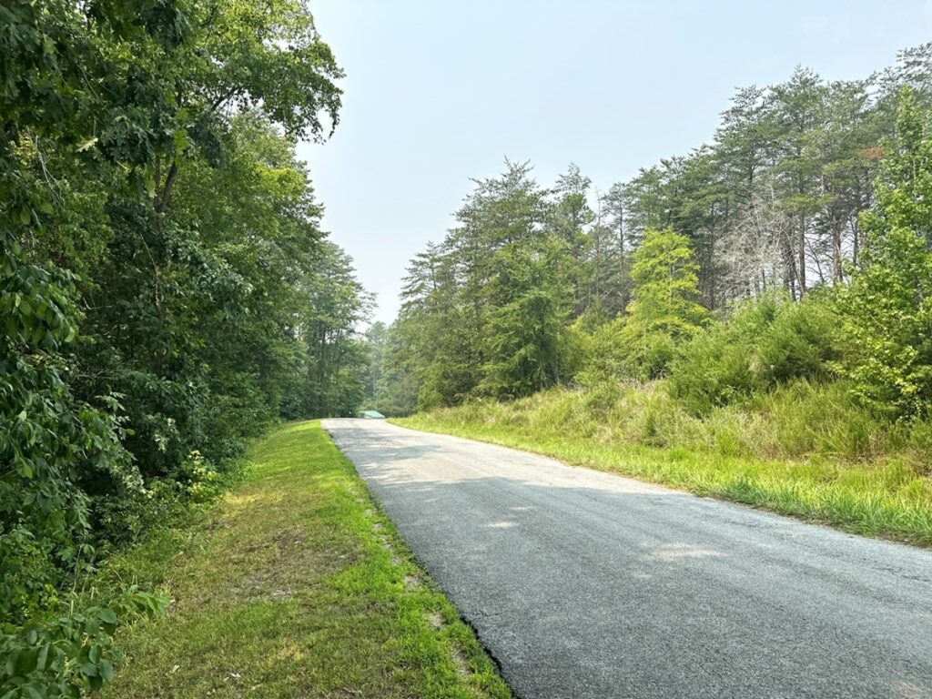 a3930755-9736-4bdb-a6ce-85f2fa85074b.jpg
