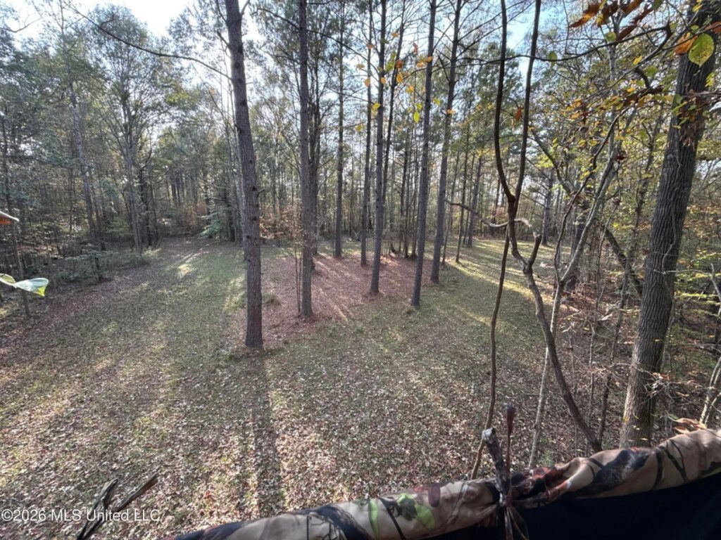 Property photo for land for sale in Adams County Mississippi