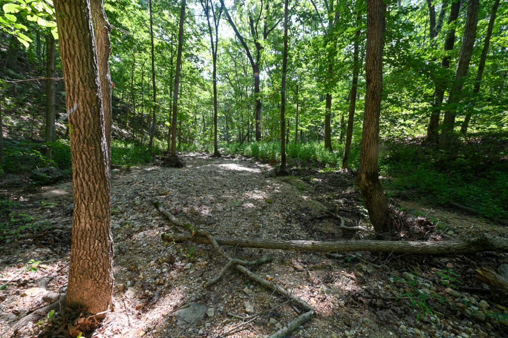 a550f539-c007-4b7e-9890-39845c7ef476.jpg